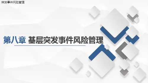 突发事件风险管理课件第八章