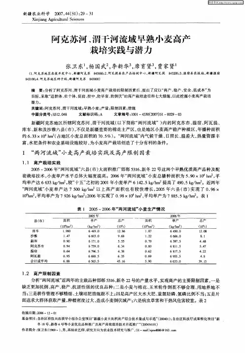 阿克苏河、渭干河流域早熟小麦高产栽培实践与潜力