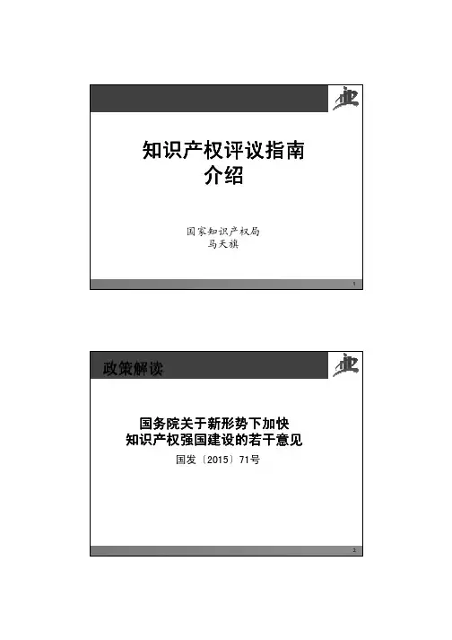 知识产权分析评议指南