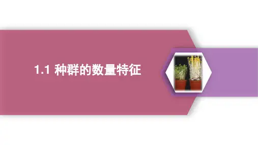 生物人教版(2019)选择性必修2 1.1种群的数量特征(共47张ppt)