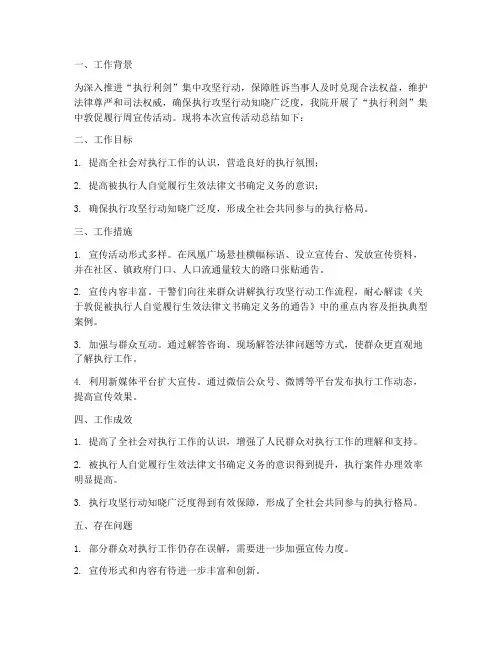 宣传执行利剑工作总结报告