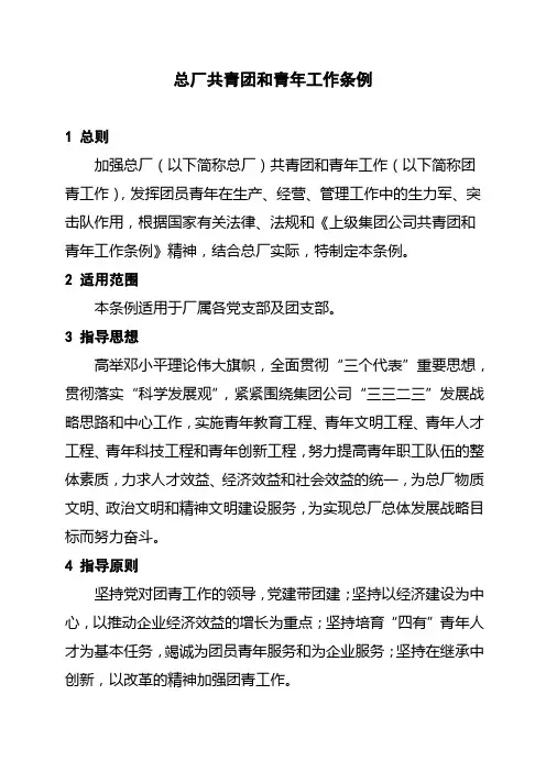 共青团和青年工作条例