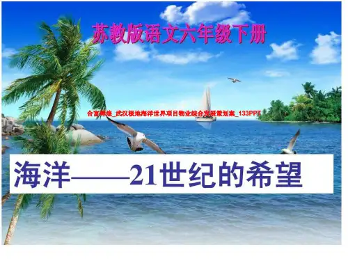 合富辉煌_武汉极地海洋世界项目物业综合发展策划案_133PPT