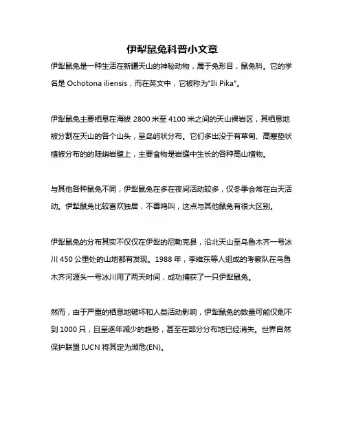 伊犁鼠兔科普小文章