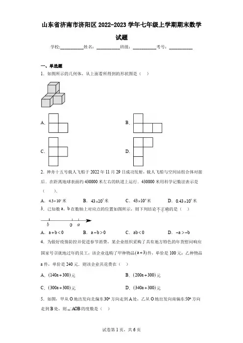 山东省济南市济阳区2022-2023学年七年级上学期期末数学试题