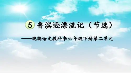6.鲁滨逊漂流记(节选)课件(共17张PPT)(2024年)