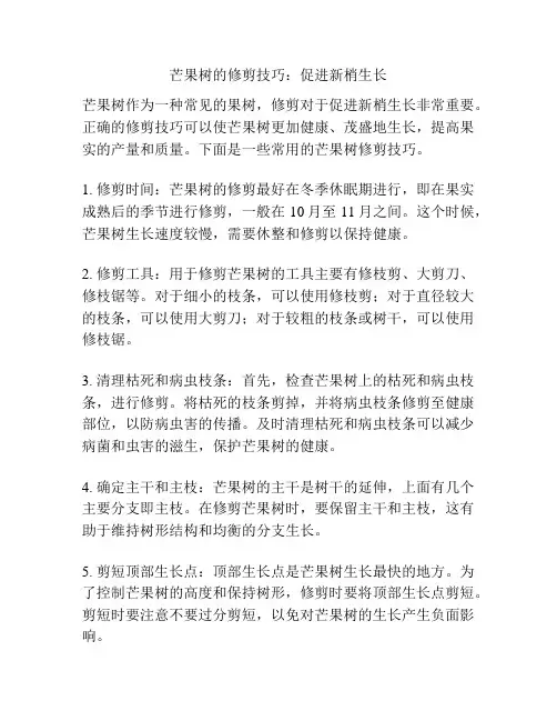 芒果树的修剪技巧：促进新梢生长