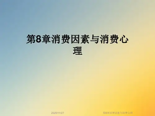 第8章消费因素与消费心理