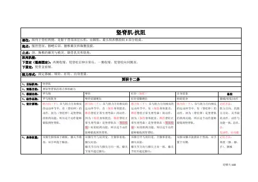 竖脊肌训练详解