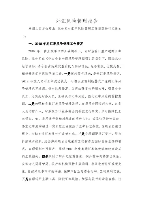 外汇风险管理报告