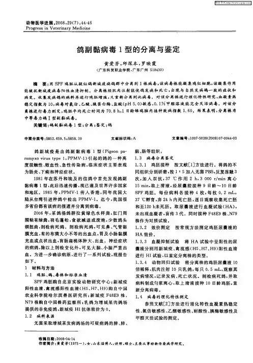 鸽副黏病毒1型的分离与鉴定