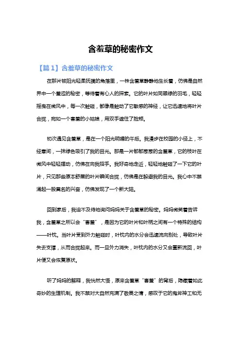 含羞草的秘密作文