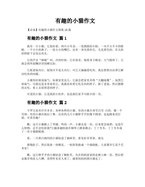 有趣的小猫作文