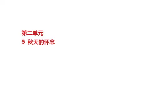 部编版七年级语文上册5秋天的怀念巩固训练课件