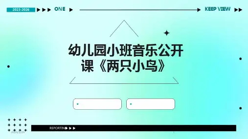 2024年度幼儿园小班音乐公开课《两只小鸟》