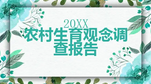 农村生育观念调查报告