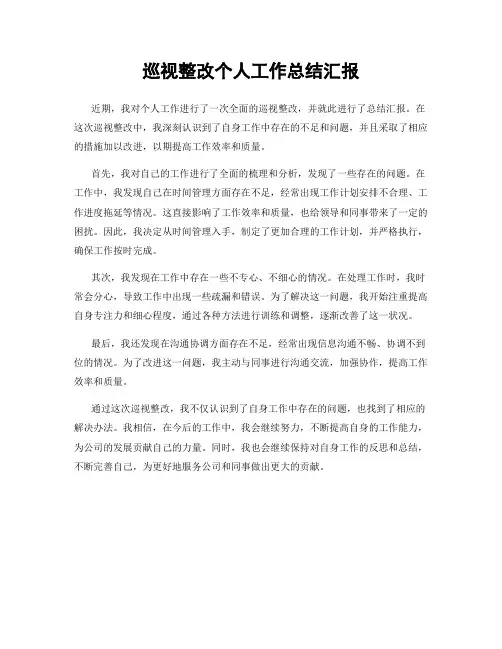 巡视整改个人工作总结汇报