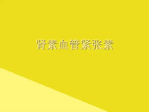 肾素血管紧张素PPT资料(正式版)