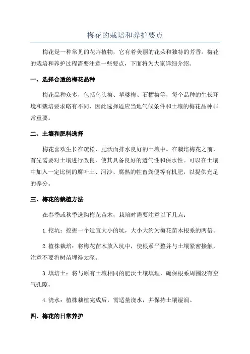 梅花的栽培和养护要点