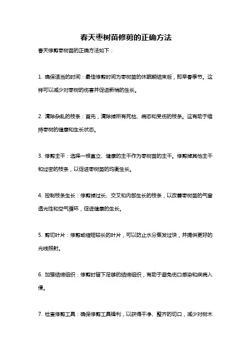 春天枣树苗修剪的正确方法