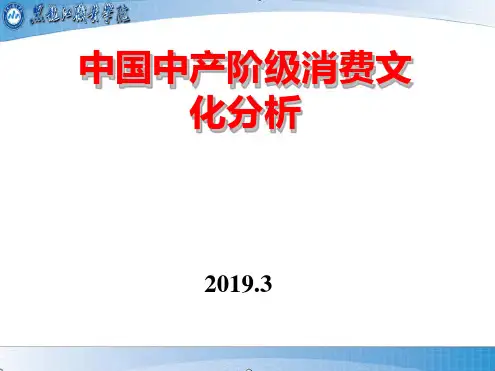 中国中产阶级消费文化分析