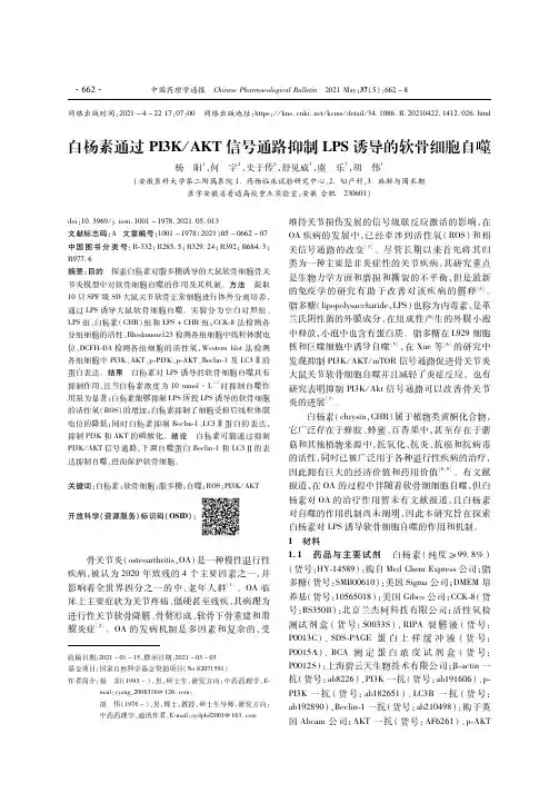 白杨素通过PI3K／AKT信号通路抑制LPS诱导的软骨细胞自噬