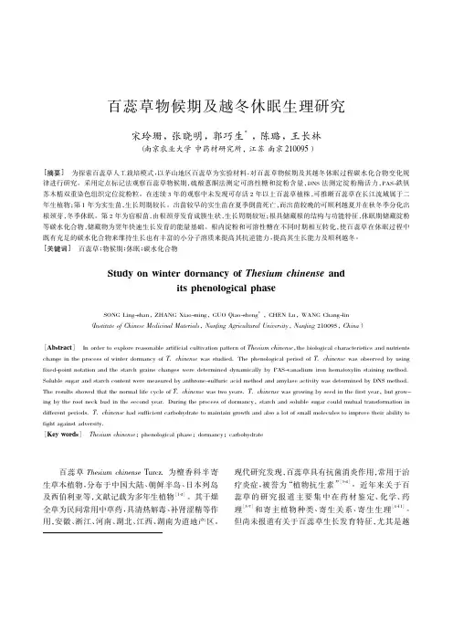 百蕊草物候期及越冬休眠生理研究
