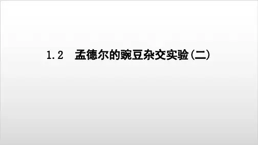 人教高中生物必修二 1.2孟德尔的豌豆杂交实验(二)PPT精美版