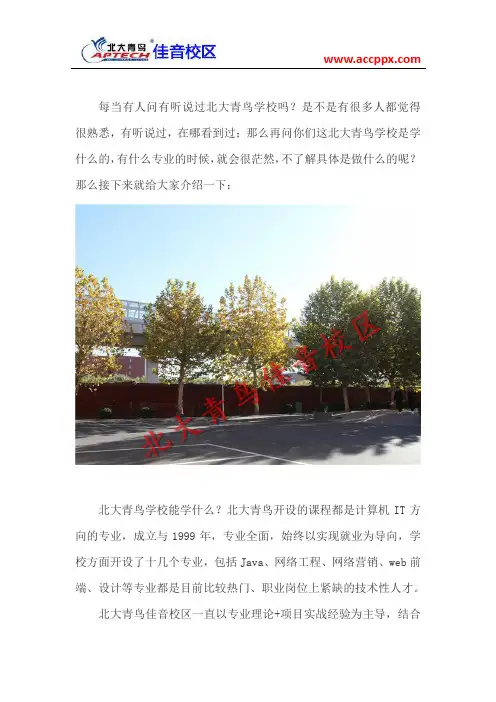 北大青鸟学校能学什么