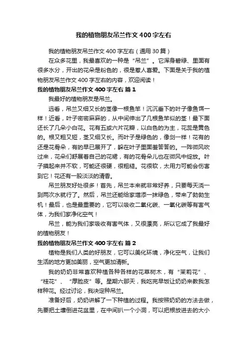 我的植物朋友吊兰作文400字左右（通用30篇）