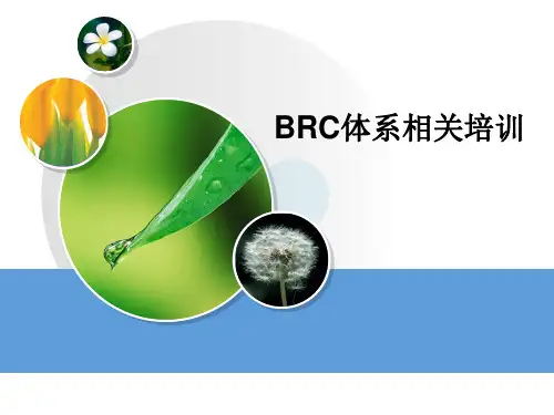 BRC体系相关培训教材