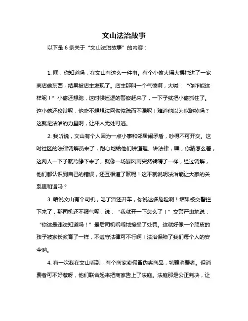 文山法治故事