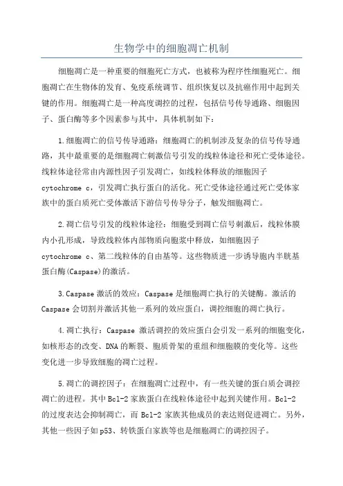生物学中的细胞凋亡机制