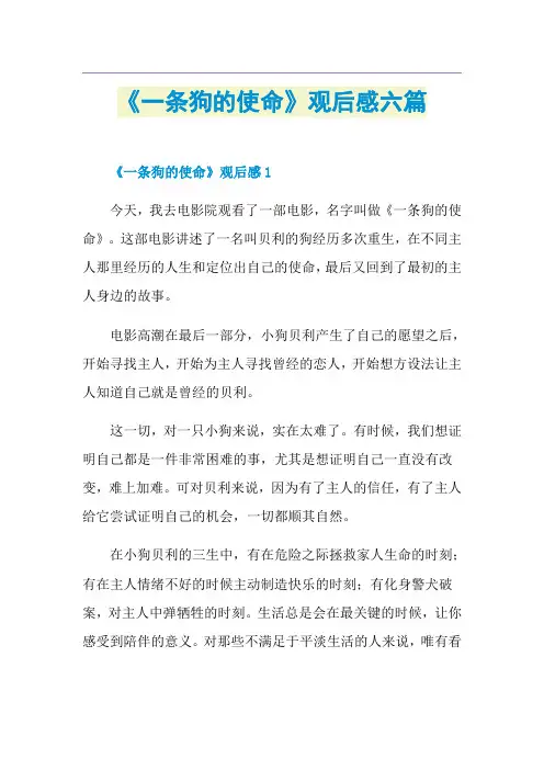 《一条狗的使命》观后感六篇