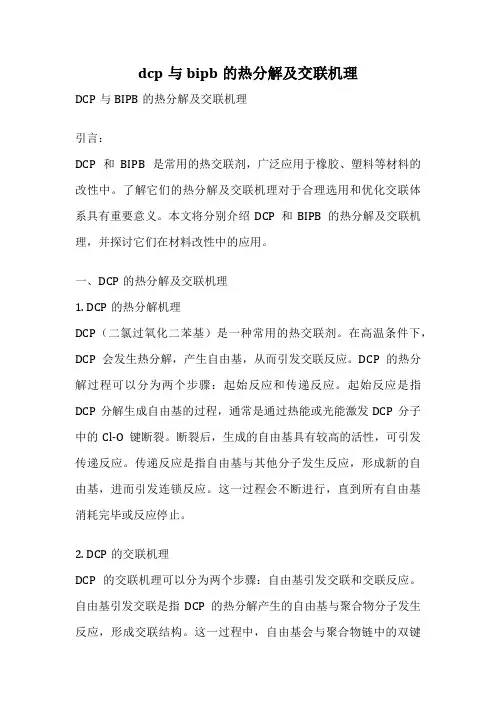 dcp与bipb的热分解及交联机理