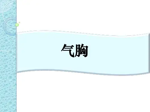 气胸【30页】