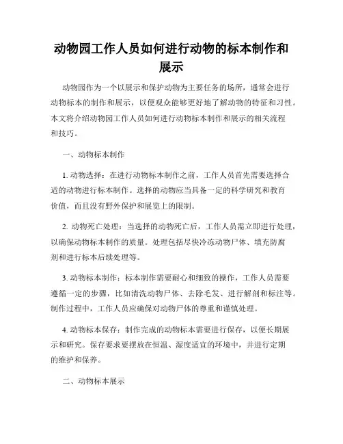 动物园工作人员如何进行动物的标本制作和展示