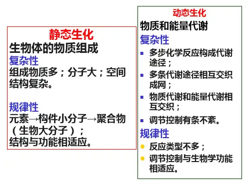 生物化学 第七章 糖类与糖类代谢