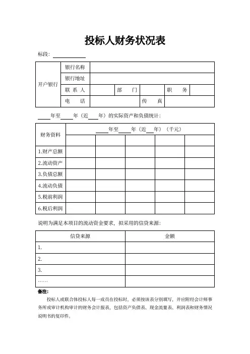 投标人财务状况表
