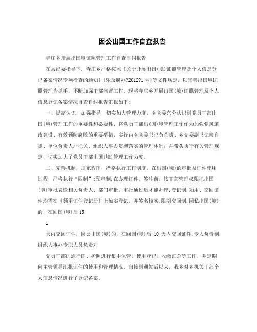因公出国工作自查报告