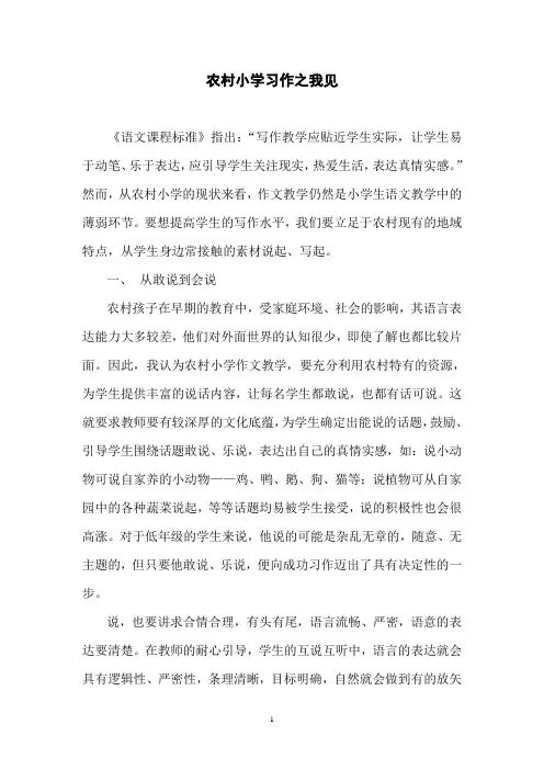 农村小学习作之我见