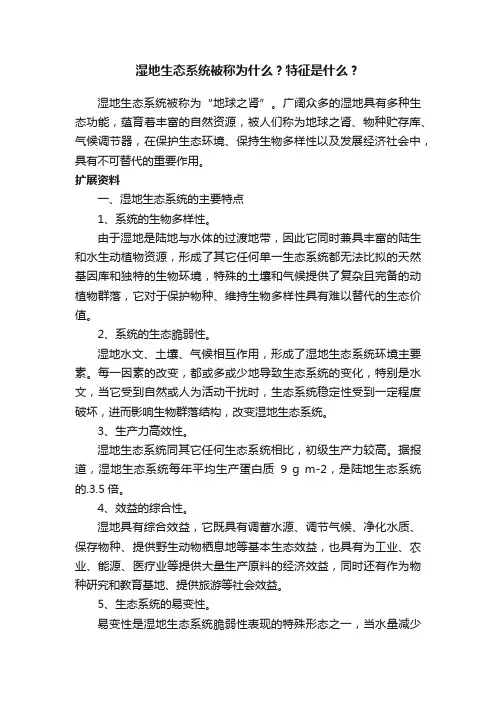 湿地生态系统被称为什么？特征是什么？