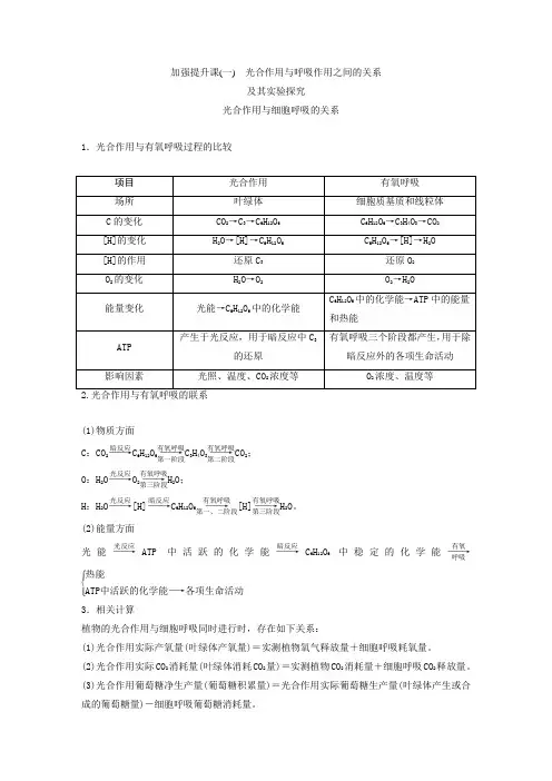 光合作用与呼吸作用之间的关系