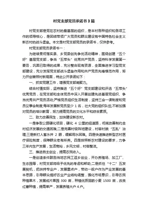 村党支部党员承诺书3篇