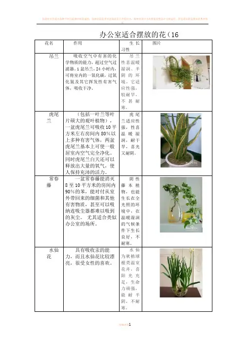 16种办公室适合养殖的花
