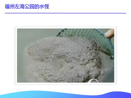 细菌和真菌在自然中的作用