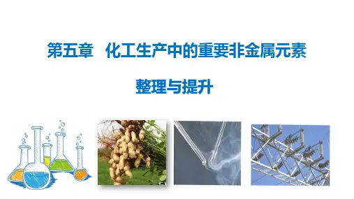 第五章 化工生产中的重要非金属元素高一化学人教版(2019)必修第二册