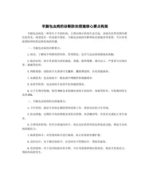 羊脑包虫病的诊断防治措施核心要点构架