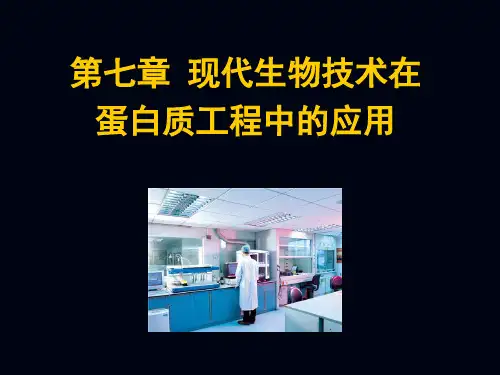 7现代生物技术 酶工程与蛋白质工程 教学课件