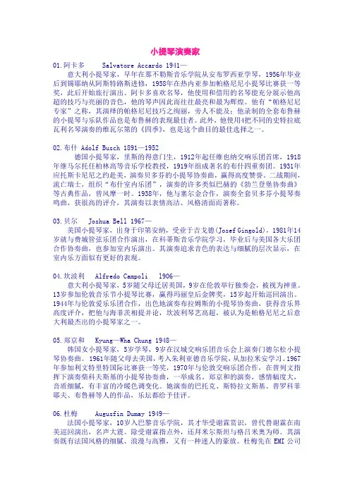 小提琴演奏家